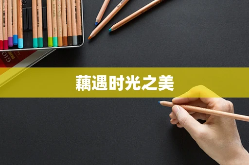 藕遇时光之美