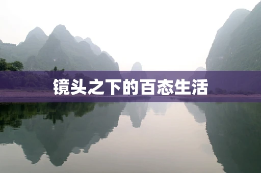 镜头之下的百态生活