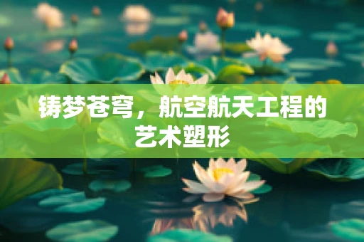 铸梦苍穹，航空航天工程的艺术塑形