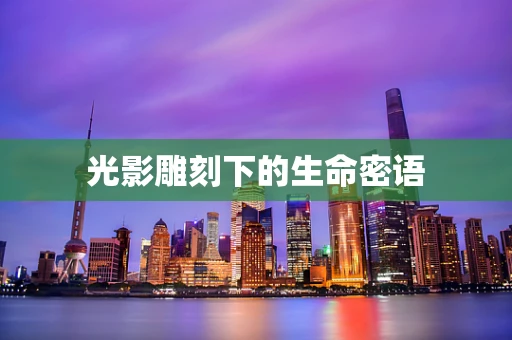 光影雕刻下的生命密语