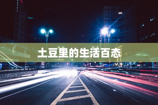 土豆里的生活百态