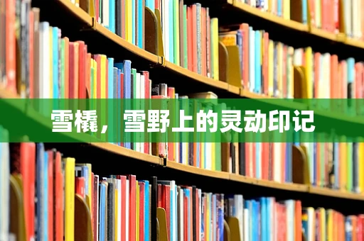 雪橇，雪野上的灵动印记
