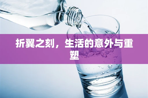 折翼之刻，生活的意外与重塑