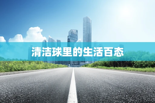 清洁球里的生活百态