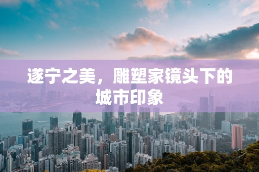 遂宁之美，雕塑家镜头下的城市印象