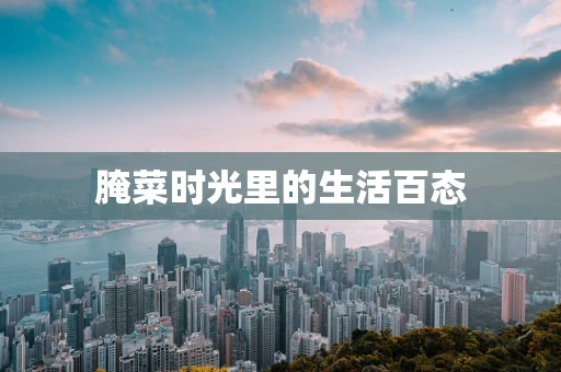 腌菜时光里的生活百态