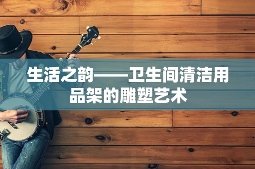 生活之韵——卫生间清洁用品架的雕塑艺术