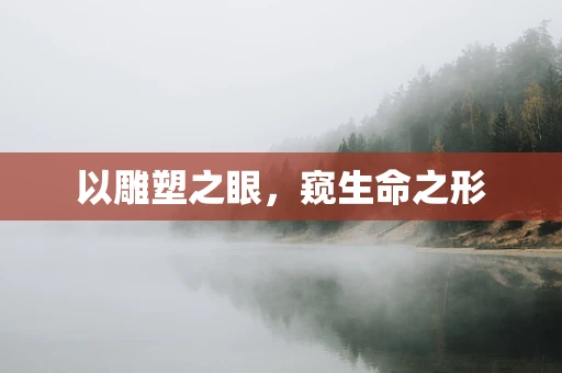以雕塑之眼，窥生命之形