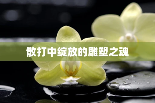 散打中绽放的雕塑之魂