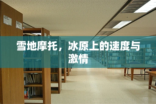 雪地摩托，冰原上的速度与激情
