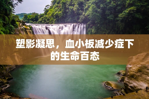 塑影凝思，血小板减少症下的生命百态