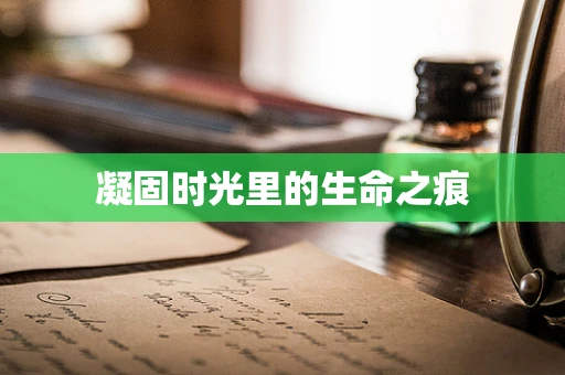 凝固时光里的生命之痕
