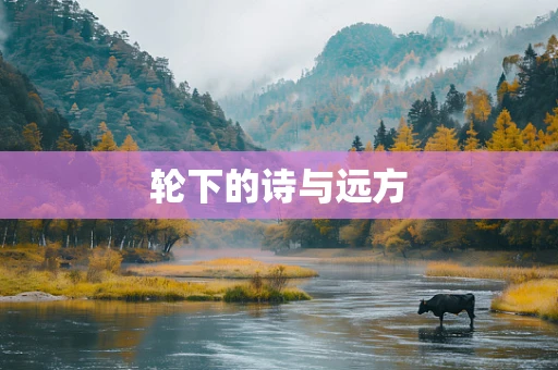 轮下的诗与远方