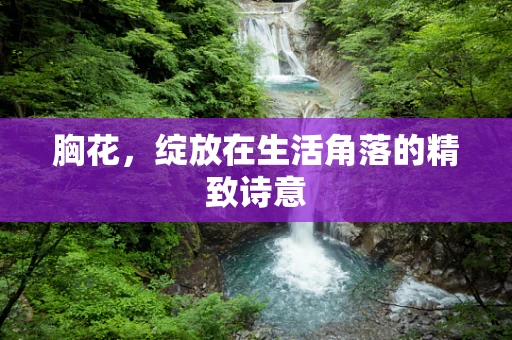 胸花，绽放在生活角落的精致诗意