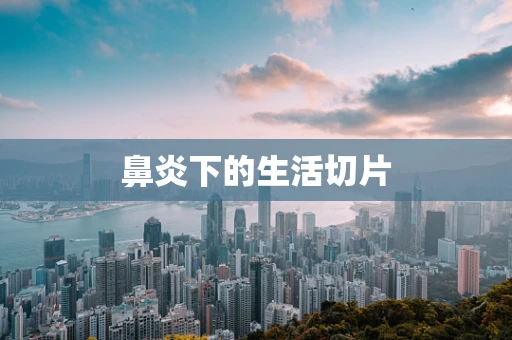 鼻炎下的生活切片