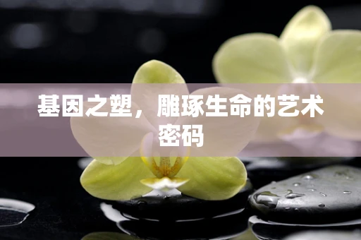 基因之塑，雕琢生命的艺术密码