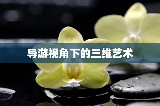 导游视角下的三维艺术