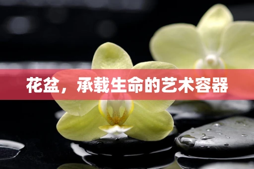 花盆，承载生命的艺术容器