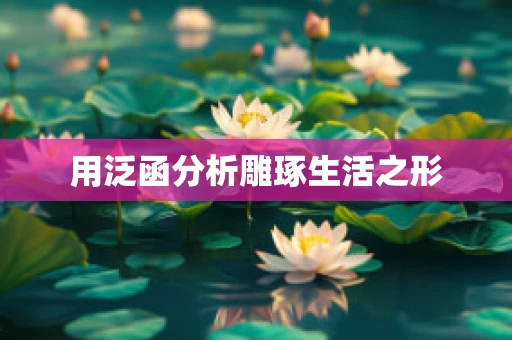 用泛函分析雕琢生活之形