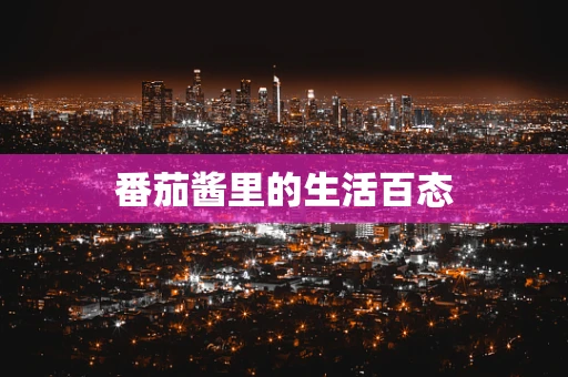 番茄酱里的生活百态