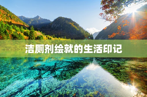 洁厕剂绘就的生活印记
