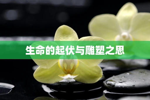 生命的起伏与雕塑之思