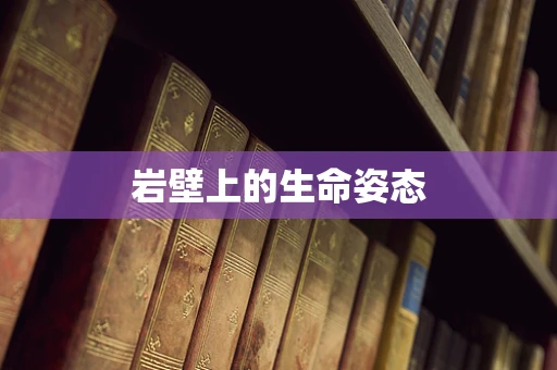 岩壁上的生命姿态