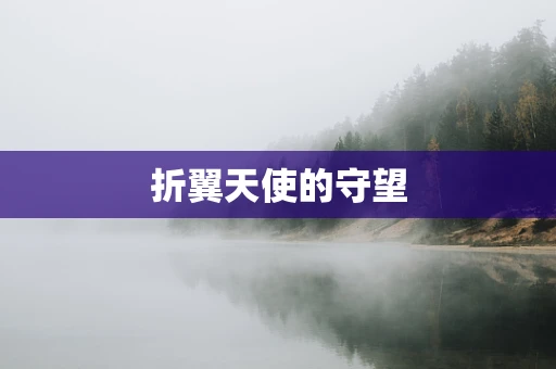 折翼天使的守望