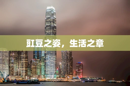 豇豆之姿，生活之章