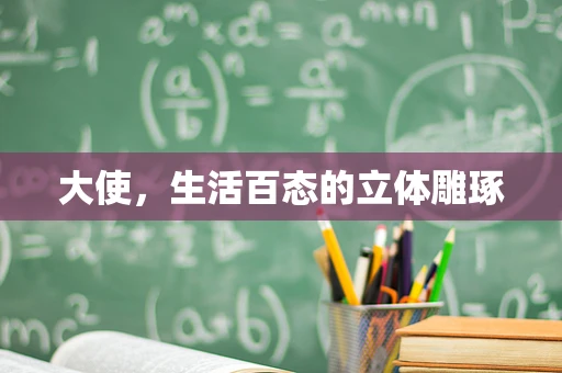 大使，生活百态的立体雕琢