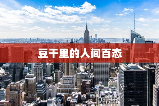 豆干里的人间百态