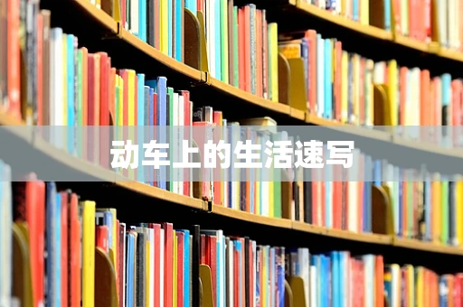 动车上的生活速写