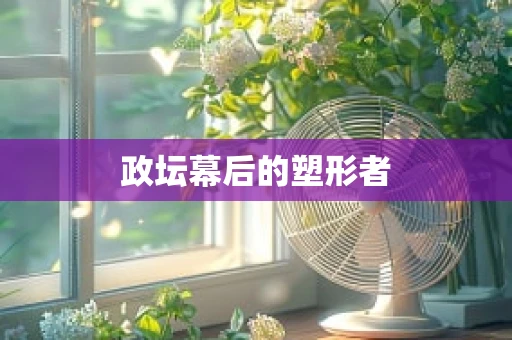 政坛幕后的塑形者