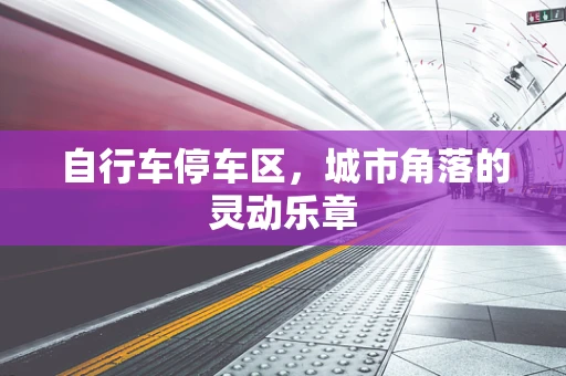 自行车停车区，城市角落的灵动乐章
