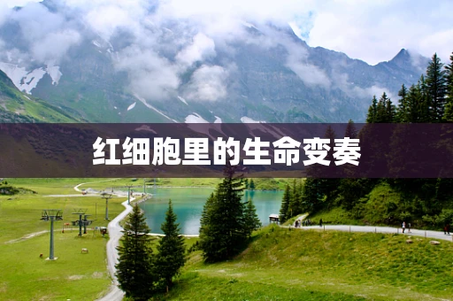 红细胞里的生命变奏
