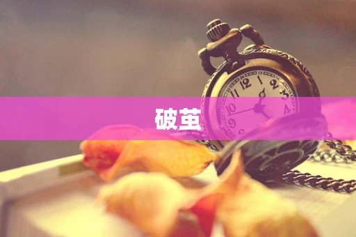 破茧