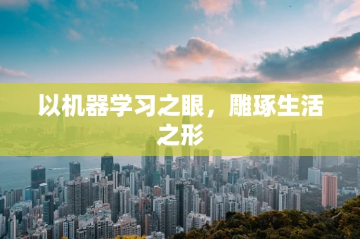 以机器学习之眼，雕琢生活之形