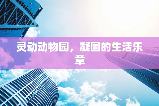灵动动物园，凝固的生活乐章