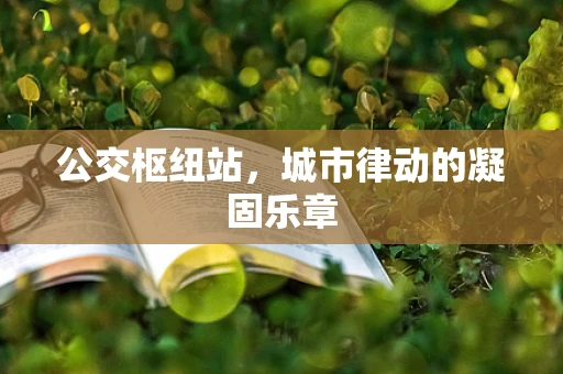公交枢纽站，城市律动的凝固乐章