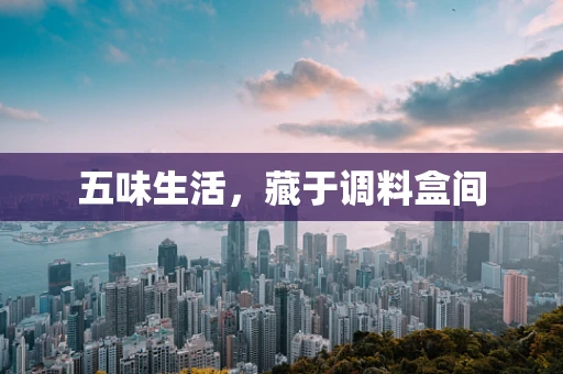 五味生活，藏于调料盒间