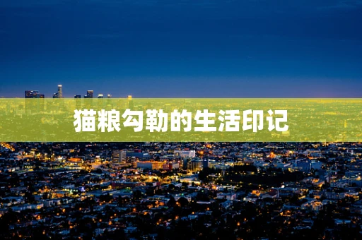 猫粮勾勒的生活印记