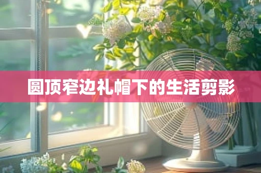 圆顶窄边礼帽下的生活剪影