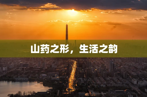 山药之形，生活之韵