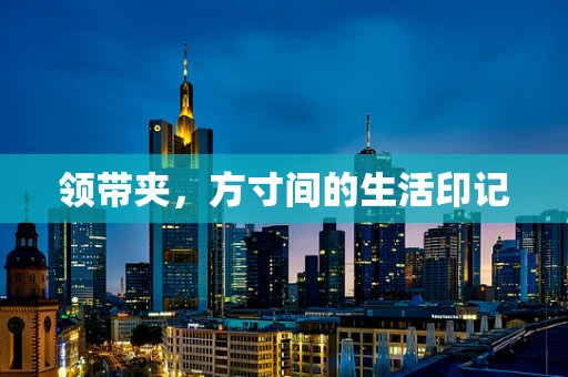 领带夹，方寸间的生活印记