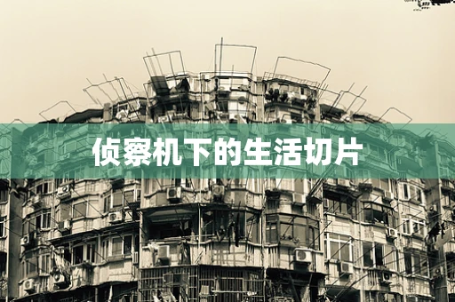 侦察机下的生活切片