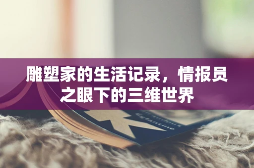 雕塑家的生活记录，情报员之眼下的三维世界