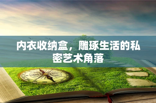 内衣收纳盒，雕琢生活的私密艺术角落