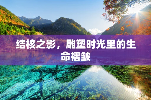 结核之影，雕塑时光里的生命褶皱