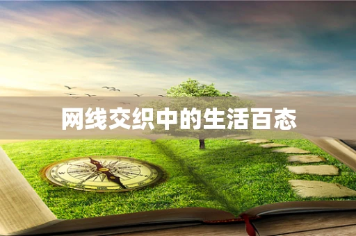 网线交织中的生活百态