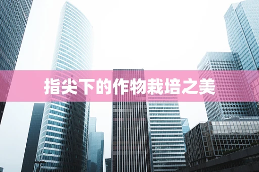 指尖下的作物栽培之美